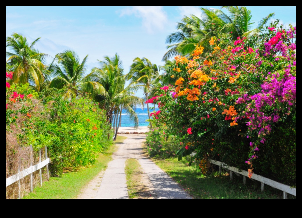 Tranquility Unveiled: Serene Views Across the Globe