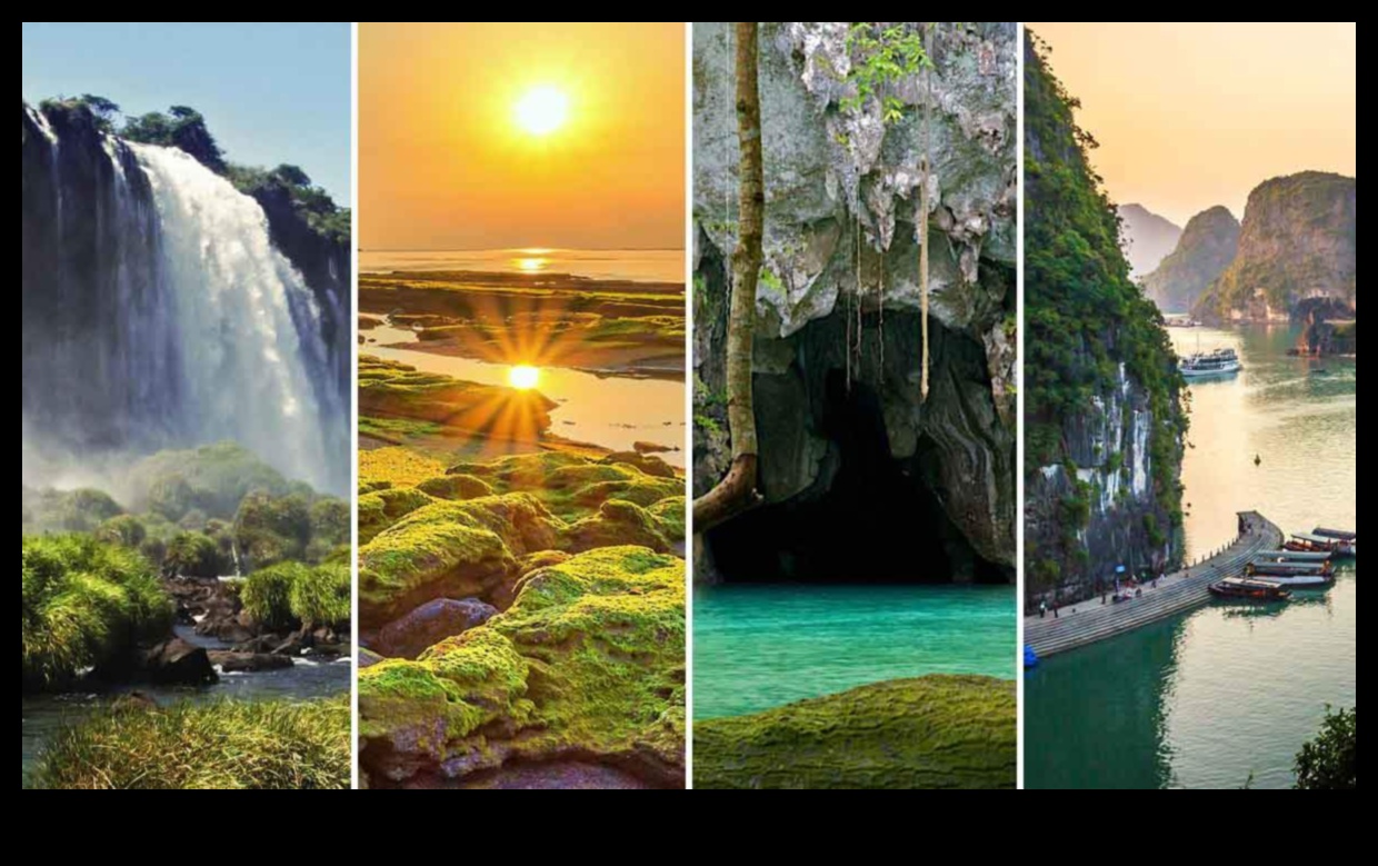 Ecological Reserves: Preserving Natural Wonders