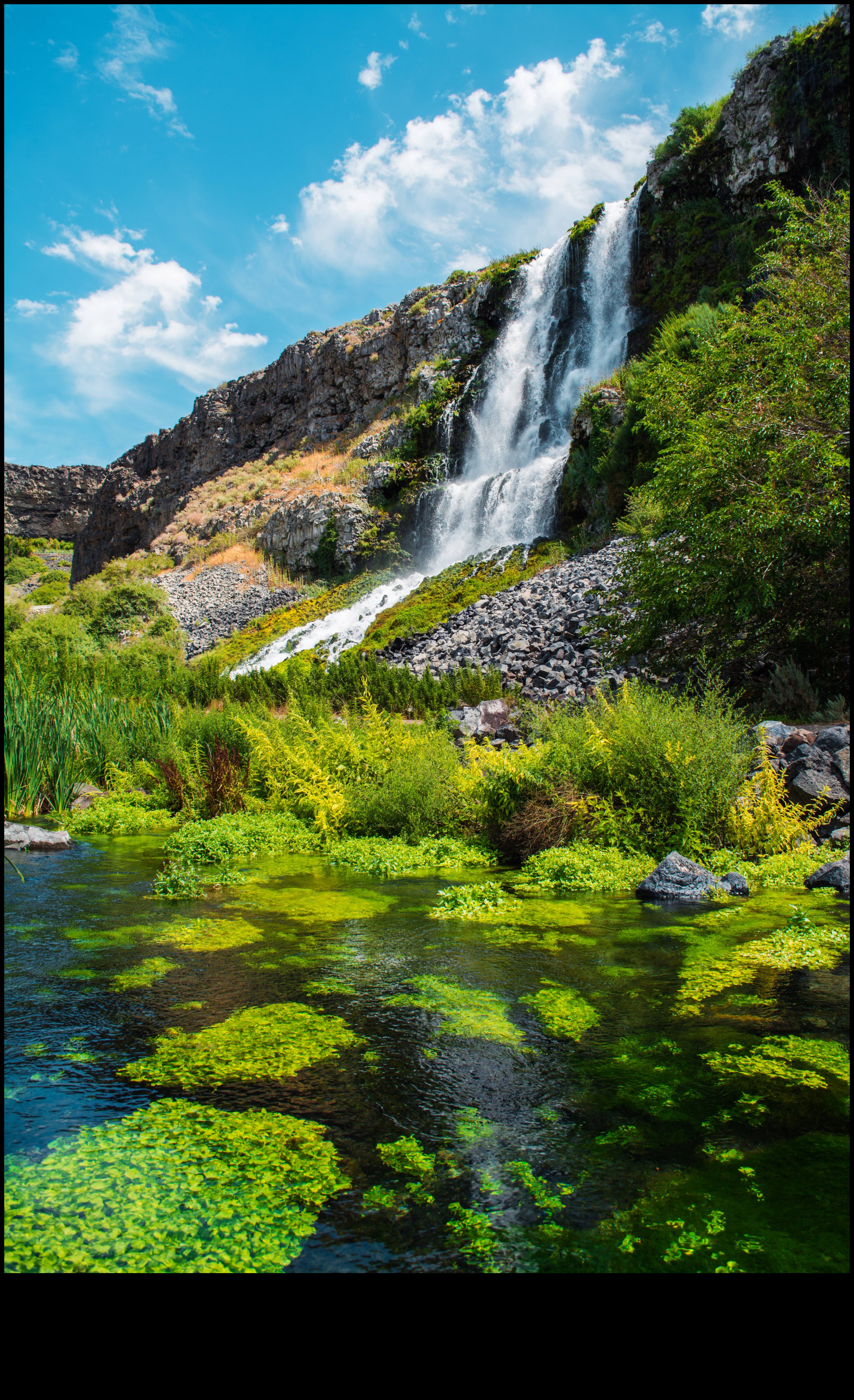 Ecological Reserves: Preserving Natural Wonders