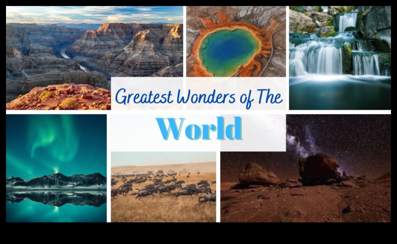 Ecological Reserves: Preserving Natural Wonders