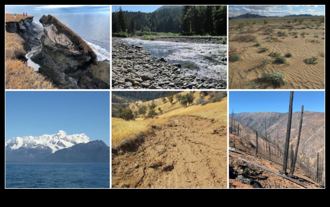 Climate and Landscapes: Adapting to a Changing World