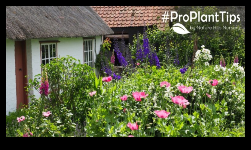 A Field Guide to Pastoral Gems Nurturing Blooms in Cozy Cottage Gardens 1