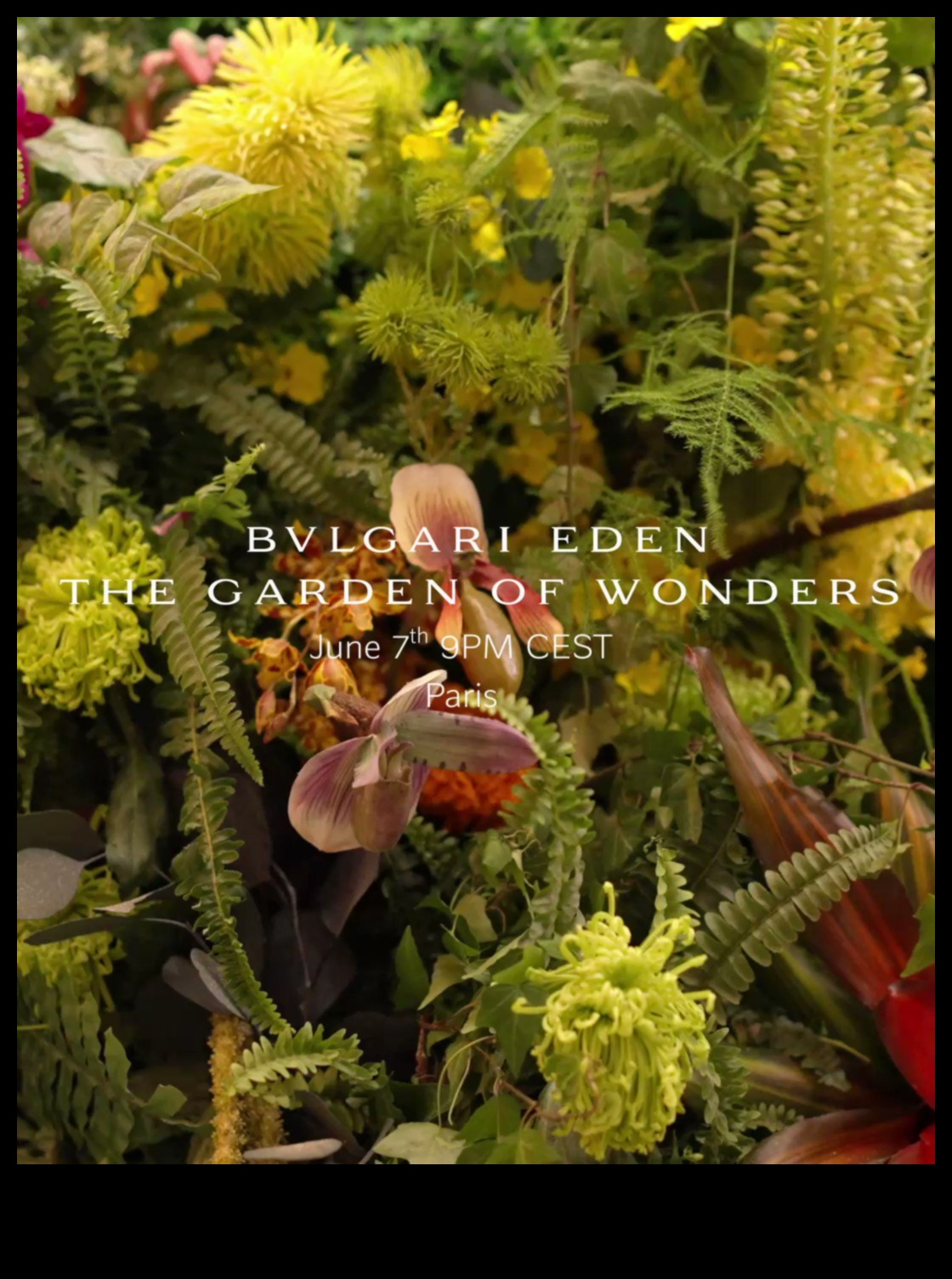 Botanical Beauty: Gardens Filled with Exotic Plants