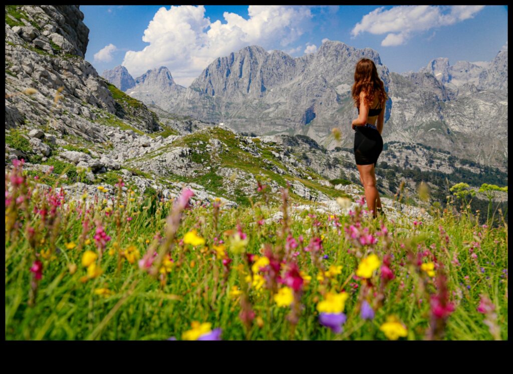 A Hiker's Guide to the Alps 1