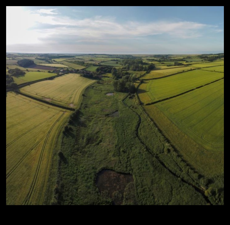 A Land of Plenty The Bounty of Farmland and Crops 1