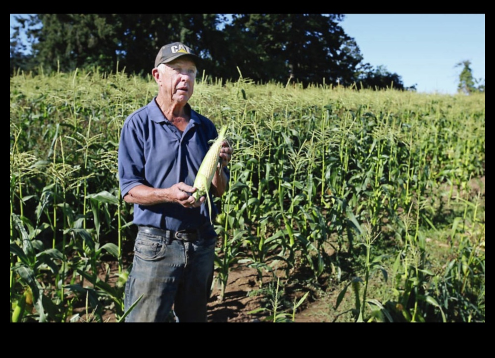 Fields of Plenty: The Bounty of Farmland and Crop Fields