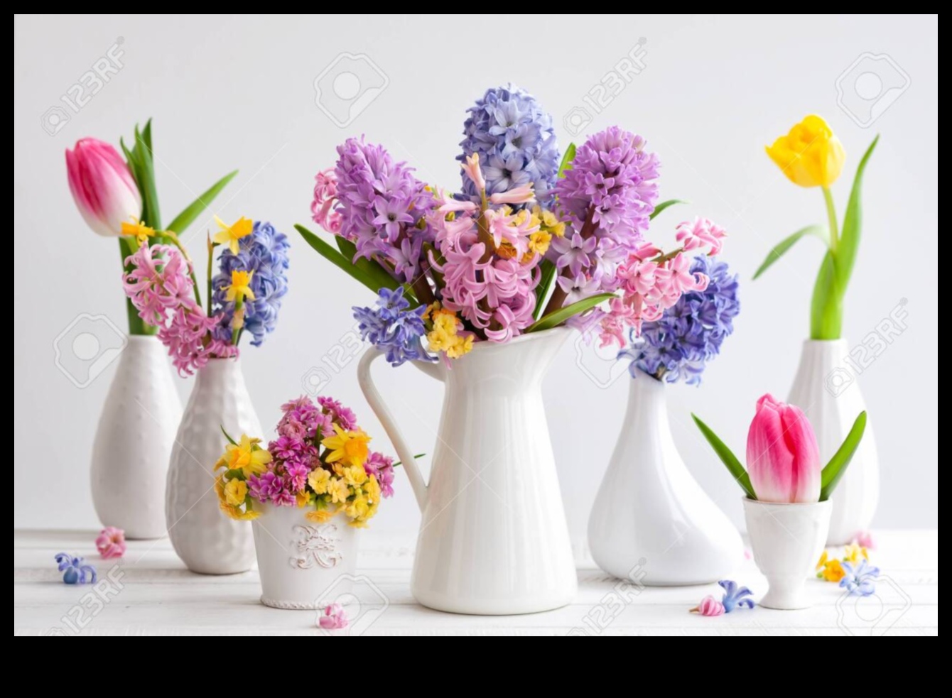 Blooms in Time: A Chronological Journey Through Spring