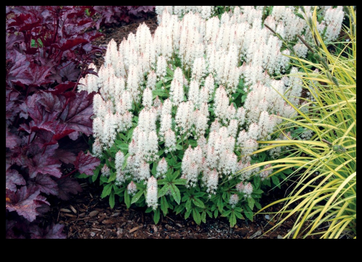 Blooming Beginnings: Spring Blossoms Unveiled