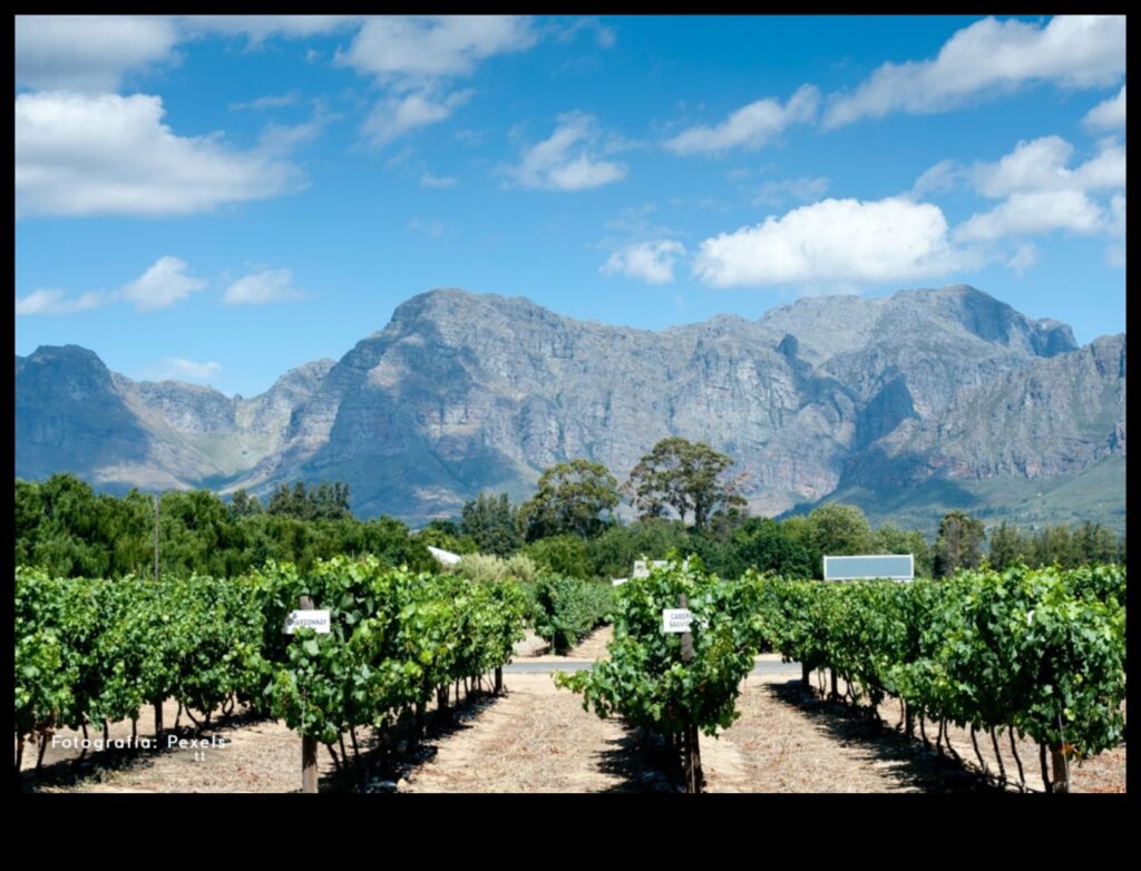 A Taste of the Landscape 1