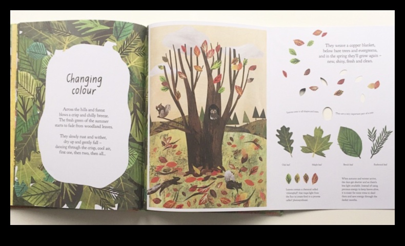 A Walk Through Nature: Beautiful Landscapes Unveiled Step by Step