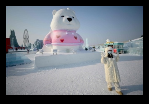 A Winter Wonderland of Ice and Snow 1