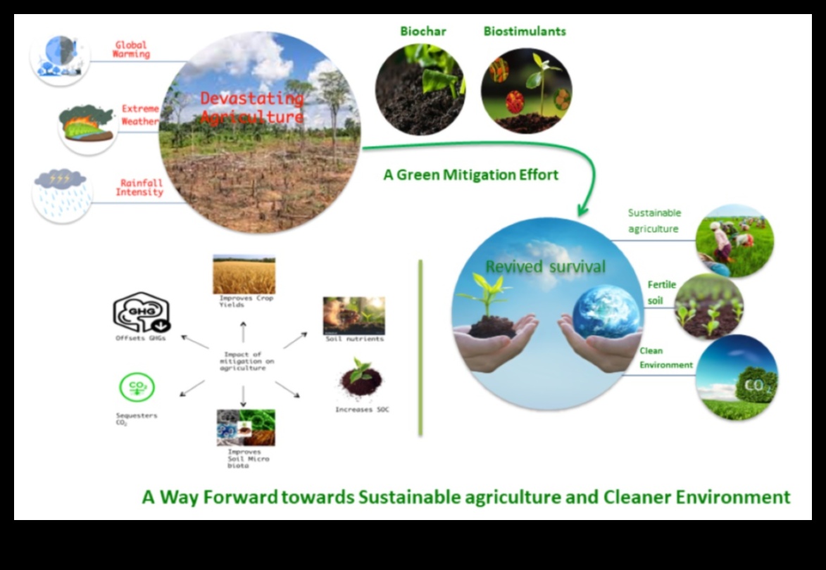 Landscapes Affected by Climate Change: A Cry for Conservation