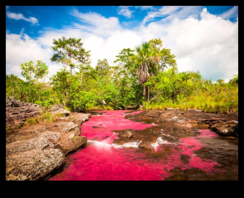 Tranquil Escapes: A Serene Collection of Beautiful Landscapes