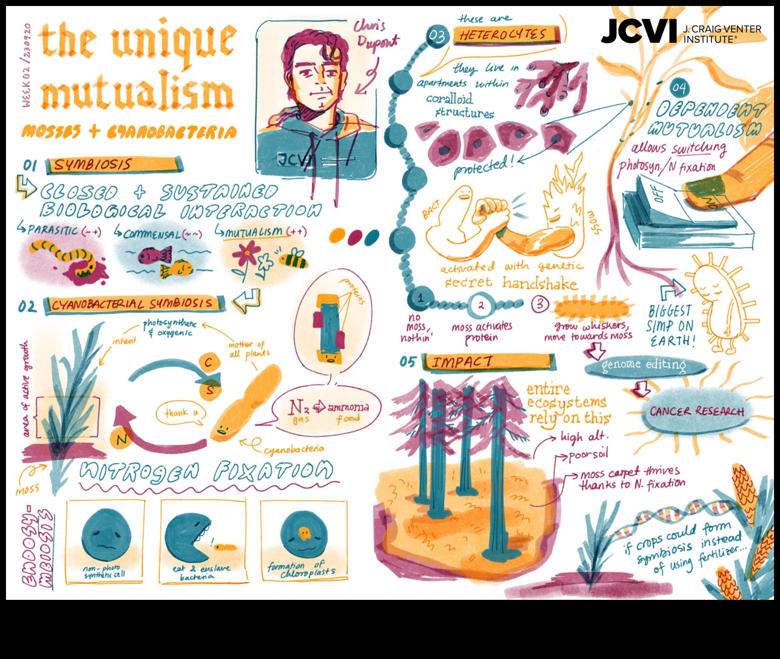 Abstract Expressions: Interpretations of Nature in Art