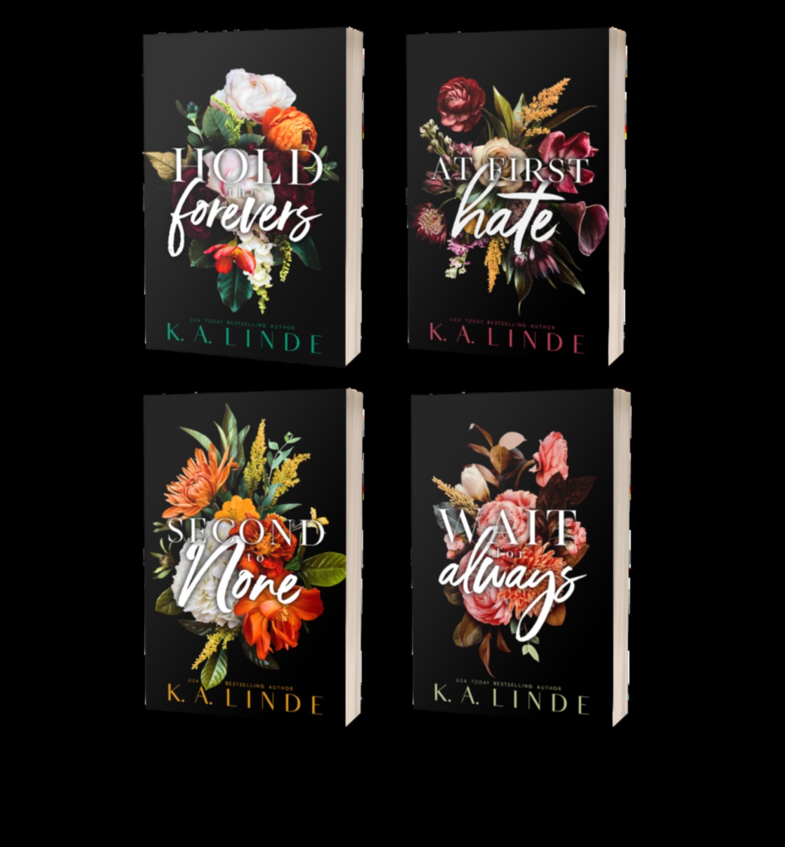 Coastal Chronicles: New Stories Unveiled Along Seashores