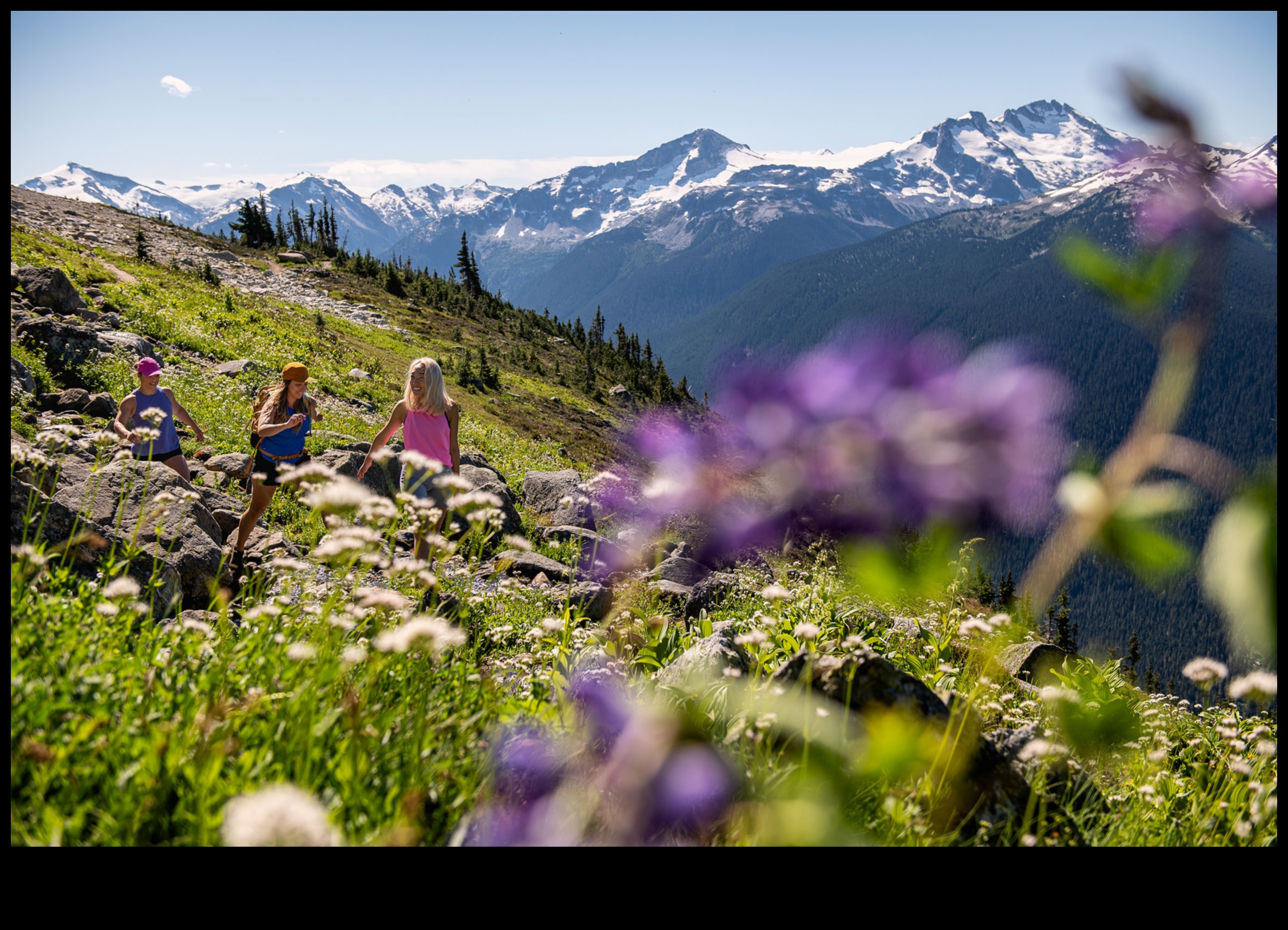 Mountain Trails: Hiking Through Alpine Landscapes
