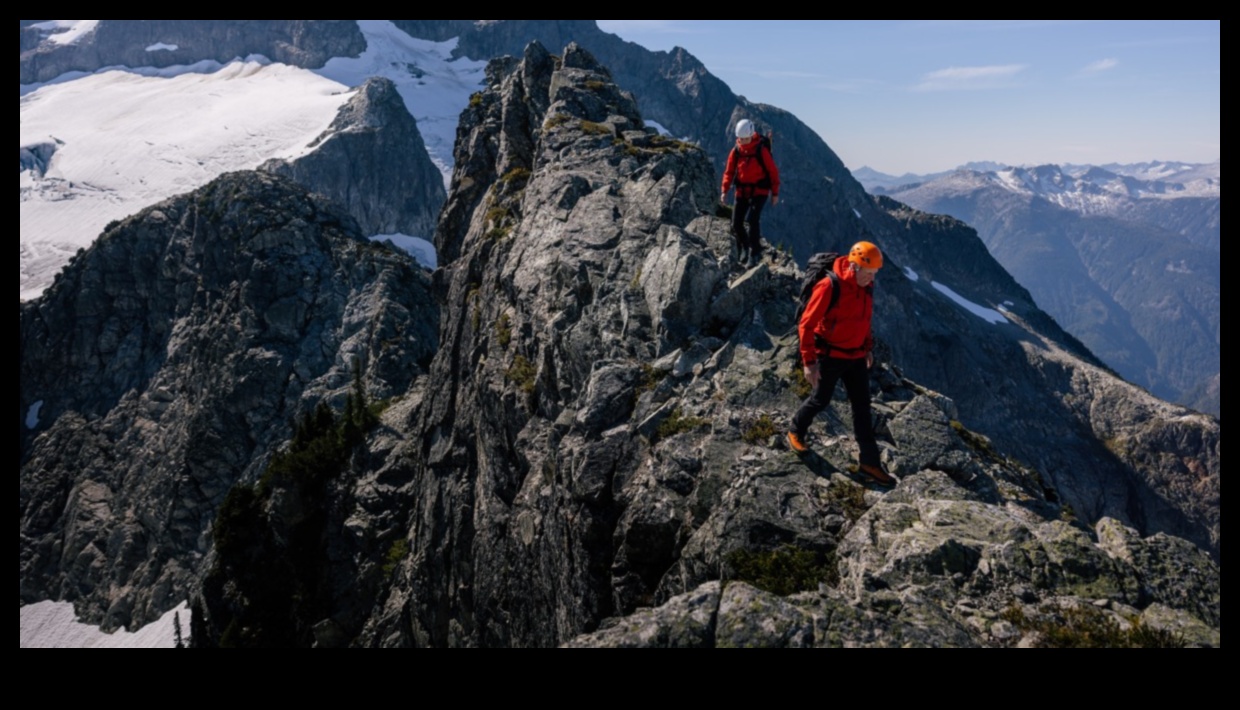 Mountain Trails: Hiking Through Alpine Landscapes
