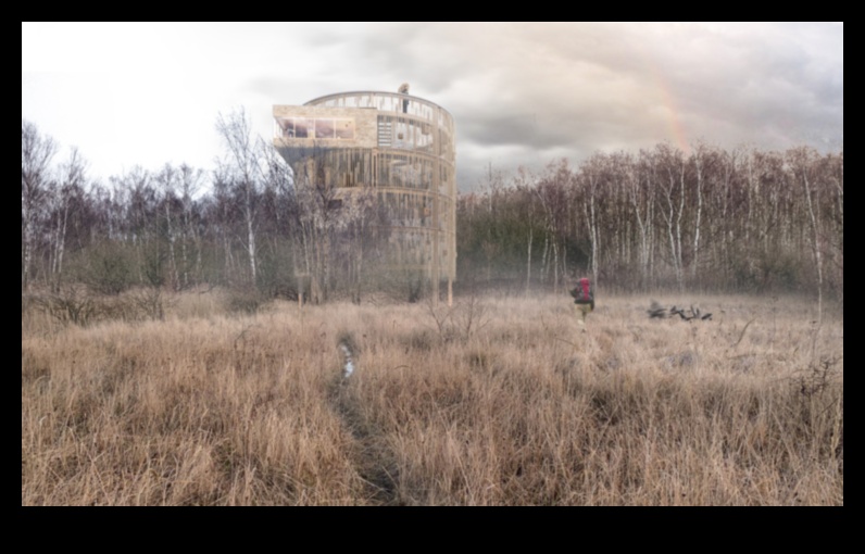 Architectural Harmony: Landscape Design in Symbiosis