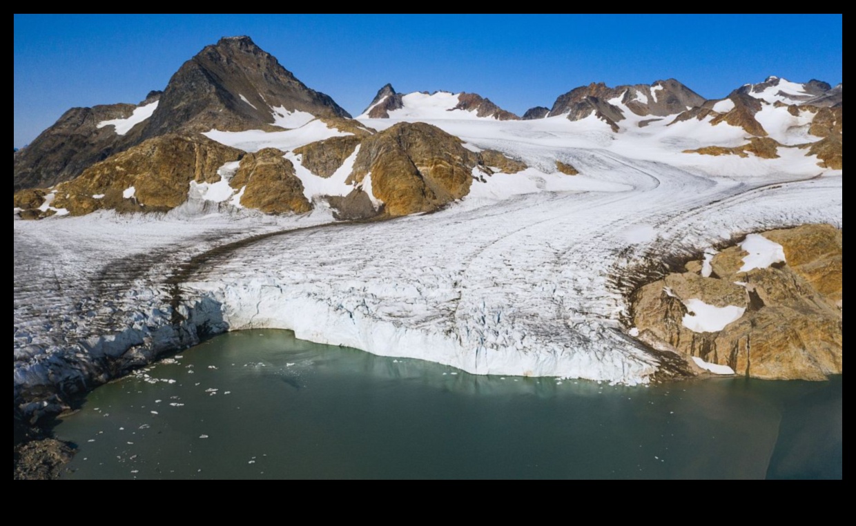 What are the environmental challenges faced by Arctic landscapes?