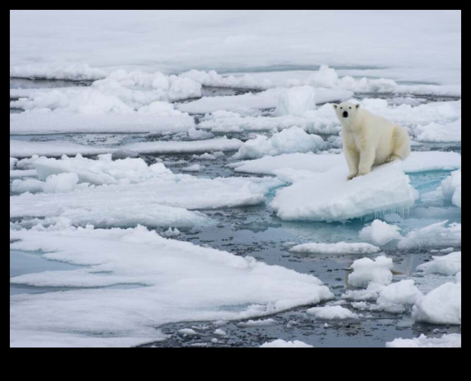 What are the environmental challenges faced by Arctic landscapes?
