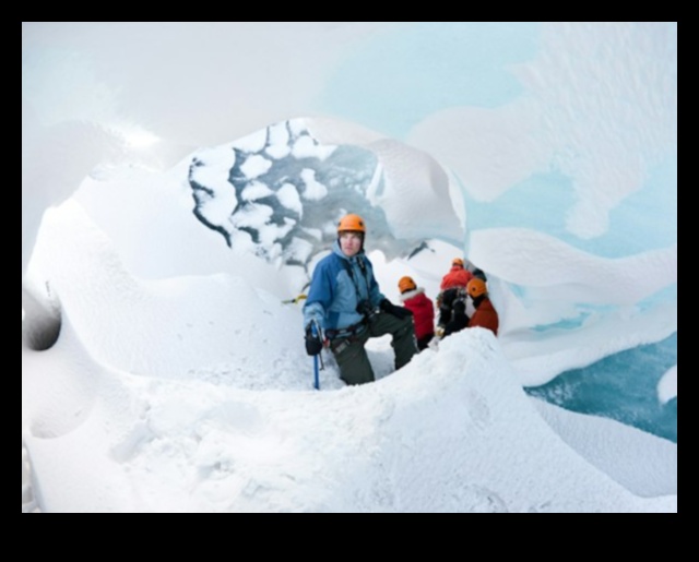 Arctic Adventures A Guide to the Great White North 1