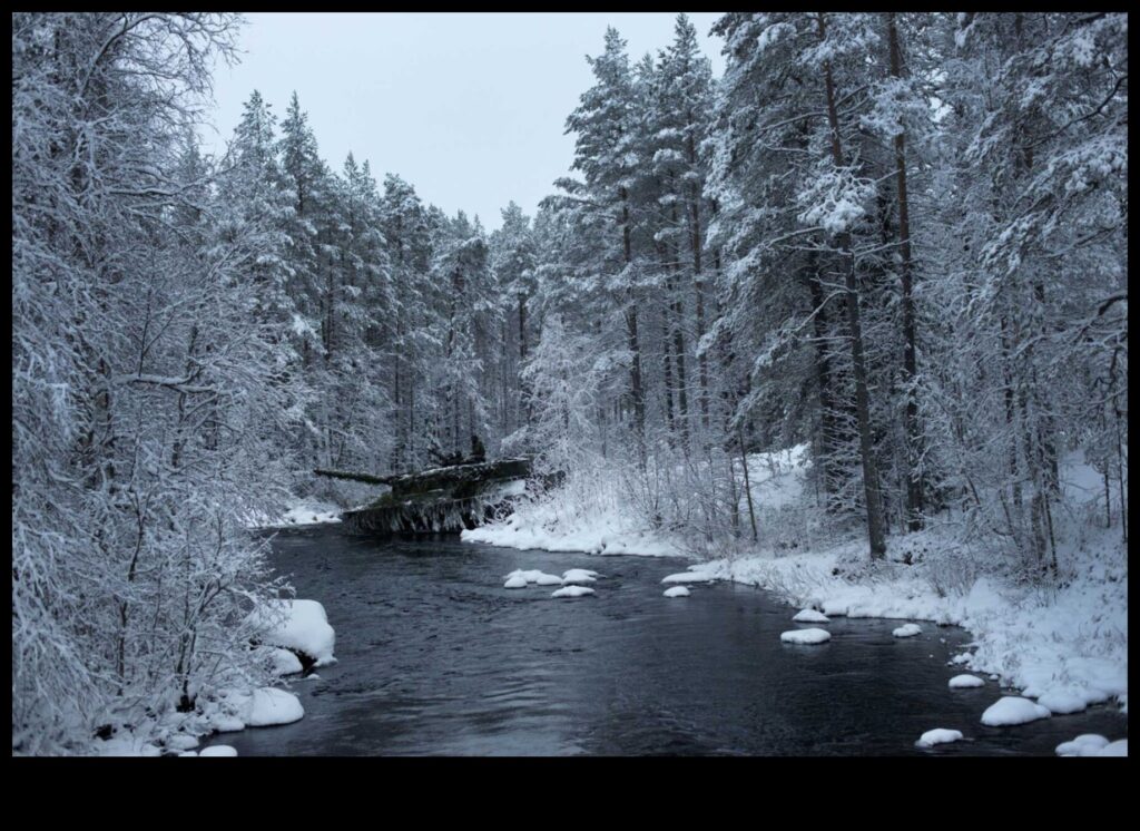 Arctic Landscapes A Photo Essay 1