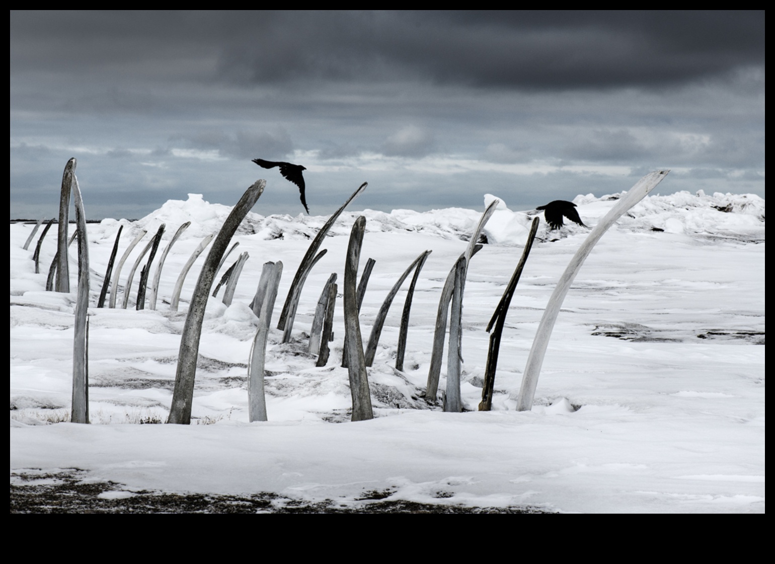 Frozen Beauty: Ice and Snow in Arctic Landscapes