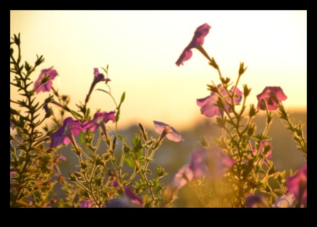 Artistry in Bloom: Crafting Your Outdoor Masterpiece