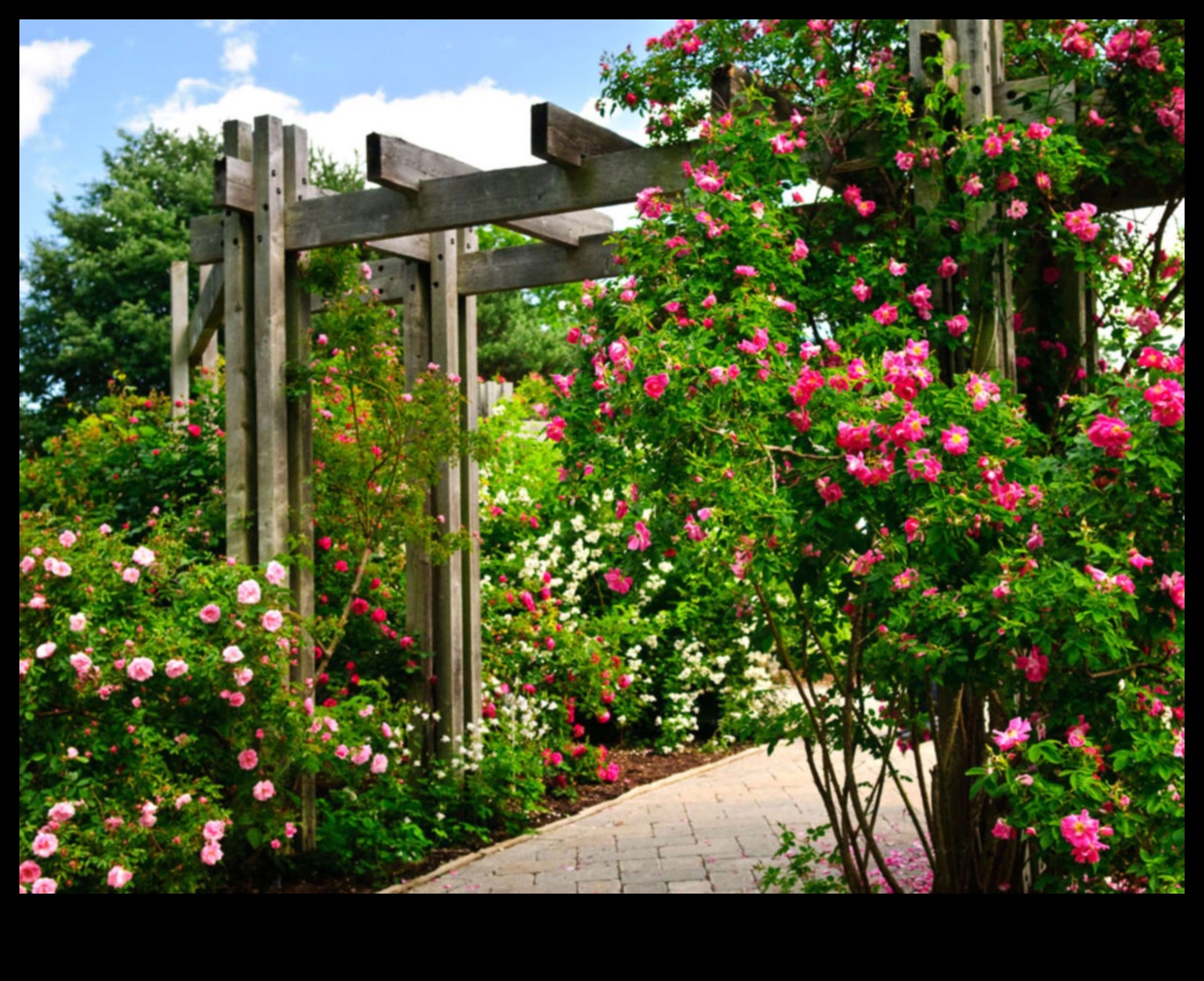 Ascend to Beauty: Vertical Gardening Triumphs