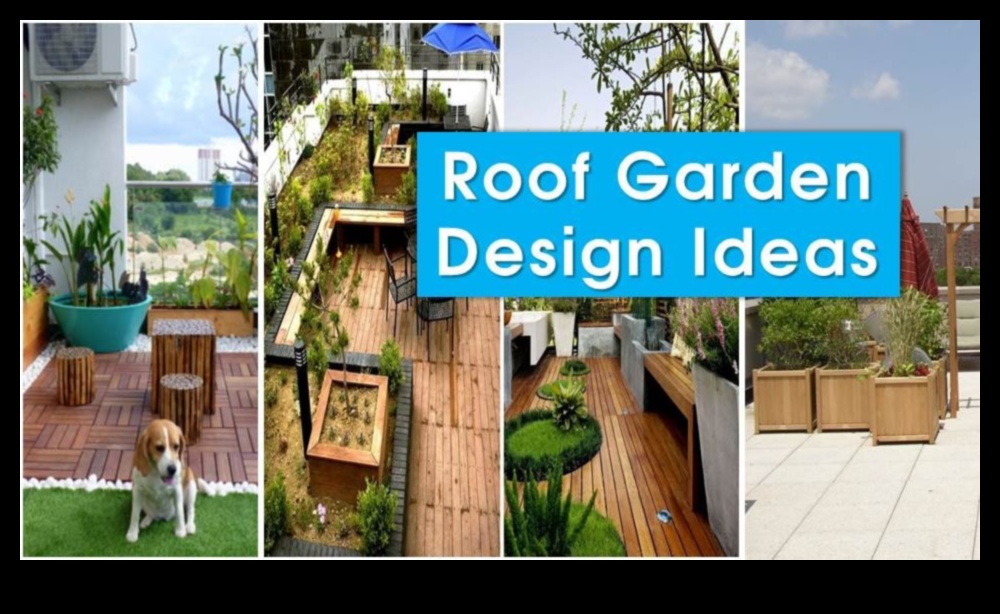 Ascend to Beauty: Vertical Gardening Triumphs