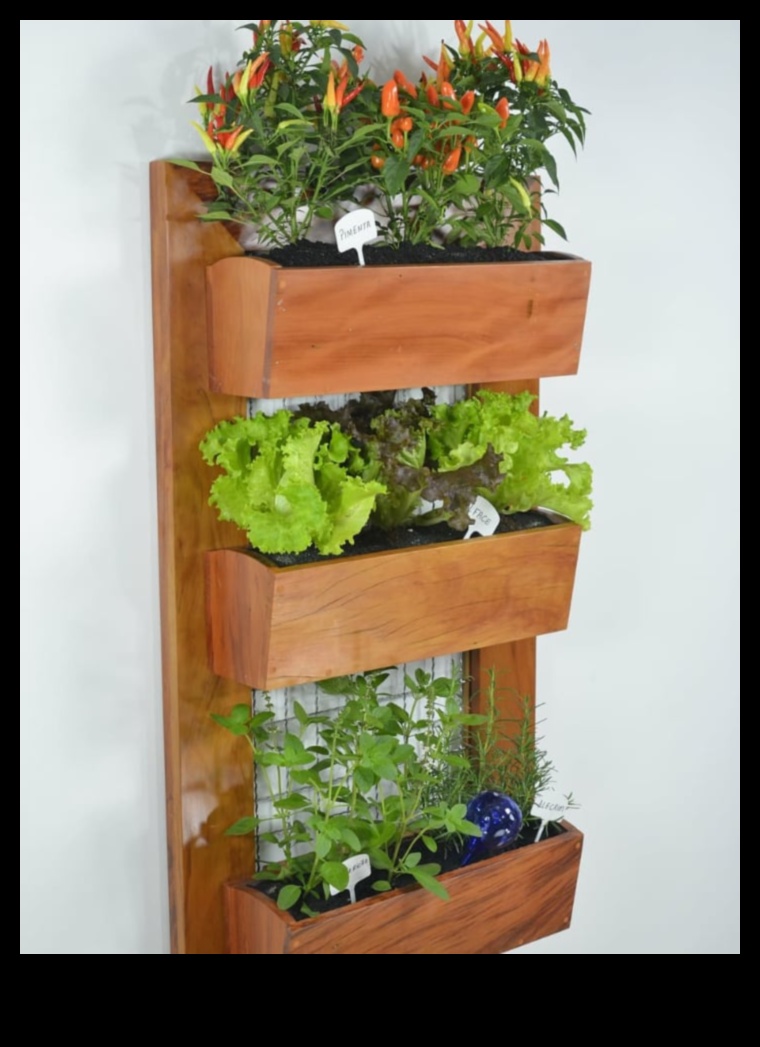 Ascend to Blossom: The Allure of Vertical Gardening