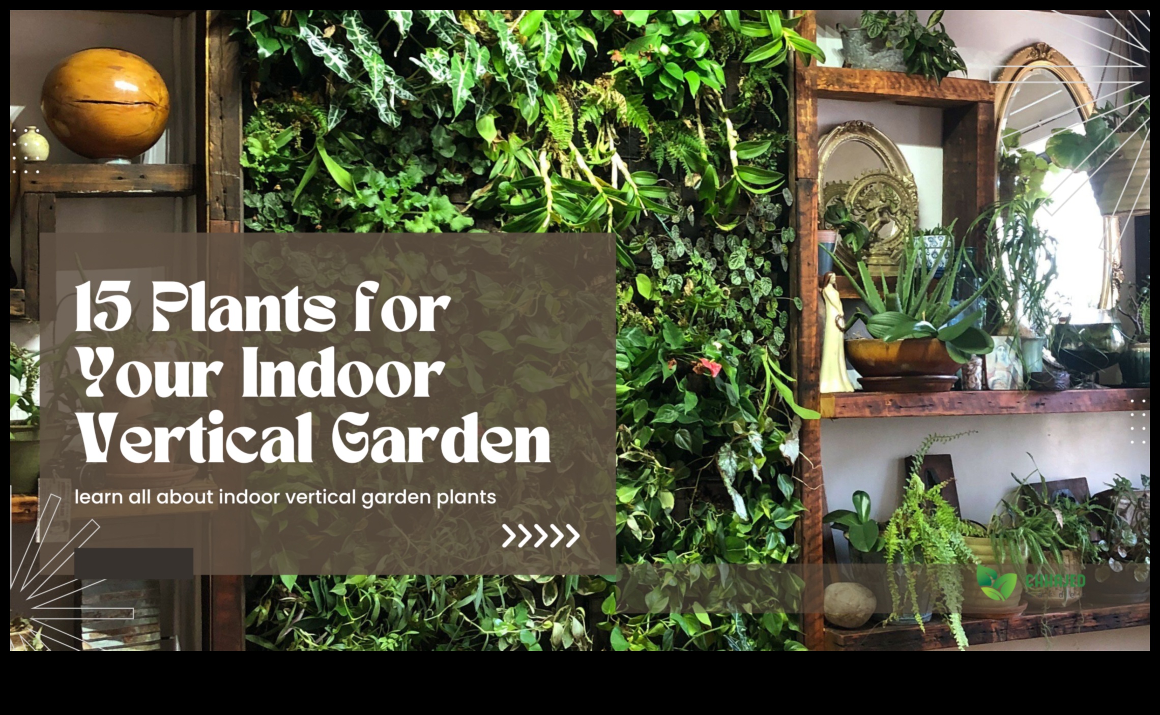 Ascend to Blossom: The Allure of Vertical Gardening