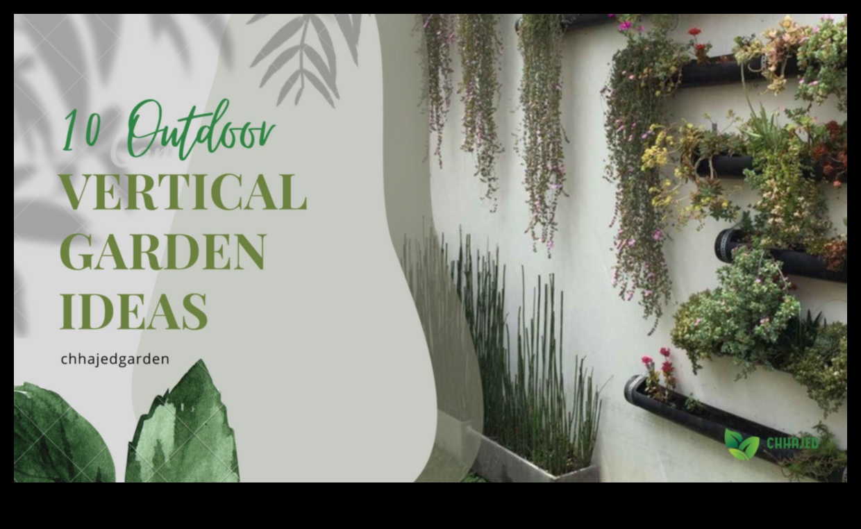 Ascend to Blossom: The Allure of Vertical Gardening