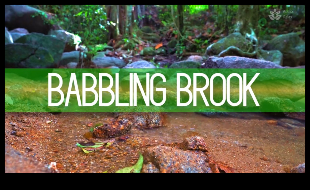 Babbling Brook: Serene White Noise Machines