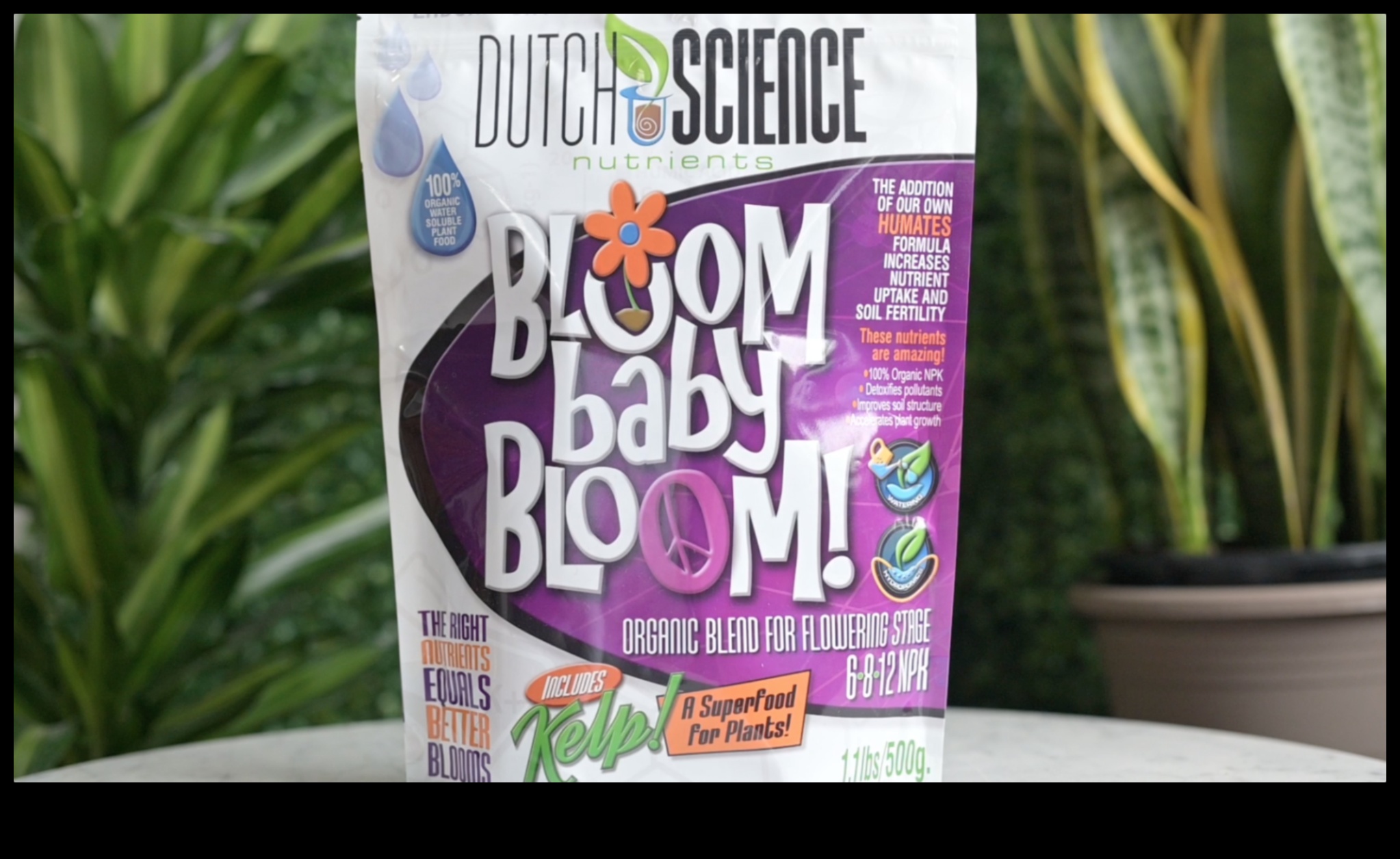 Baby Bloom Nurturing Growth and Smiles with Organic Formulas 2 Baby Bloom: Nourishing Growth and Smiles