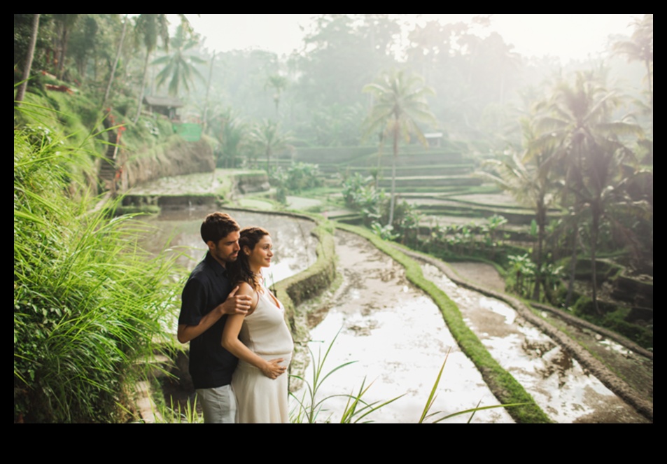 Babymoon Bliss: Traveling Well for Baby's Health