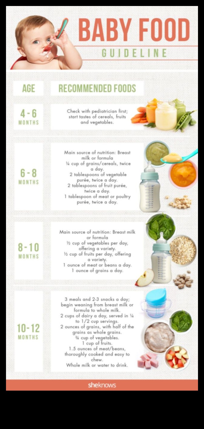 Baby's First Feasts: Introducing Solids with Smiles