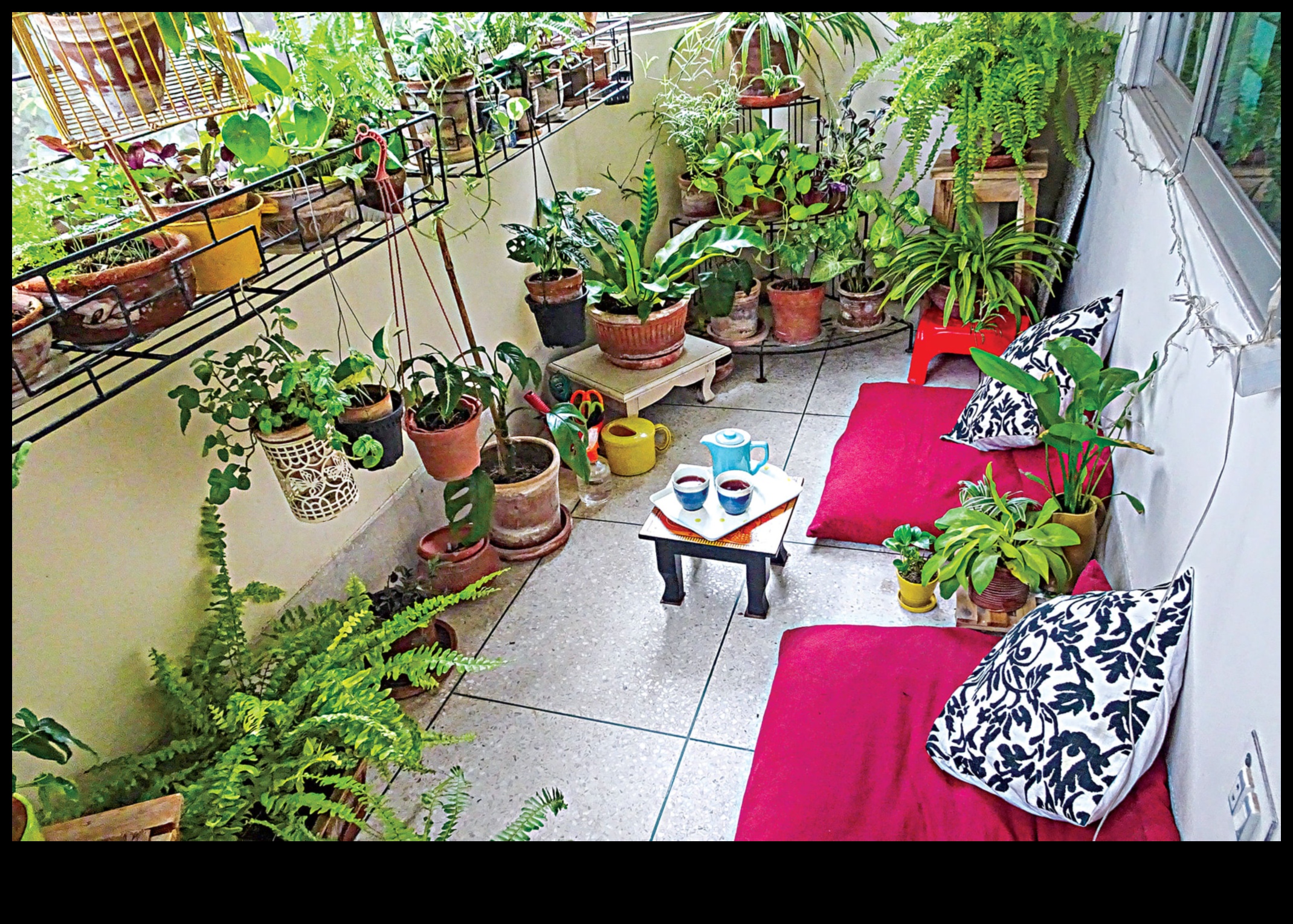 Balcony Bliss: Urban Gardening Tips for High-Rise Living