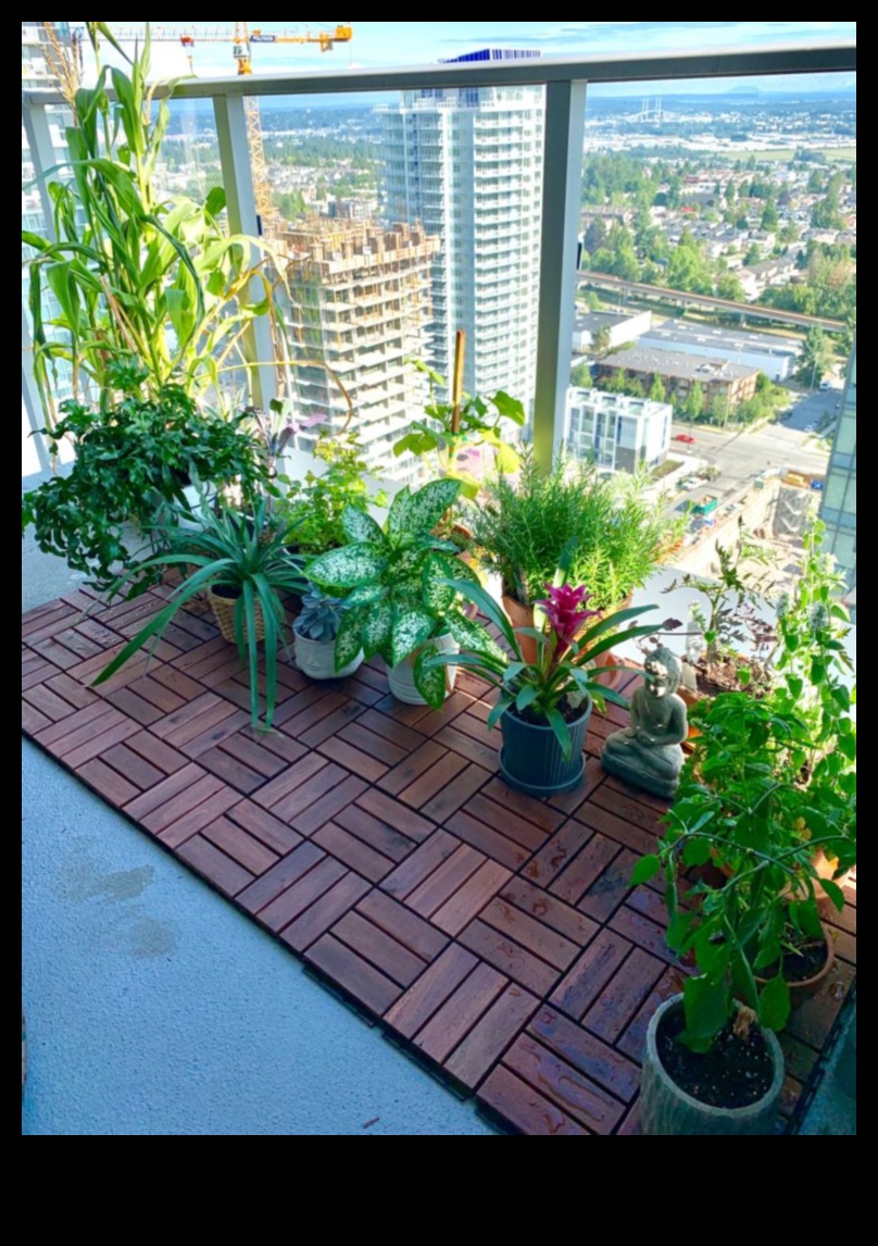 Balcony Botanist: Urban Gardening at New Heights