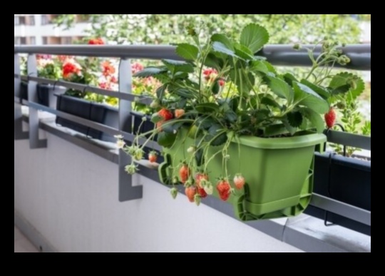 Balcony Botanist: Urban Gardening at New Heights