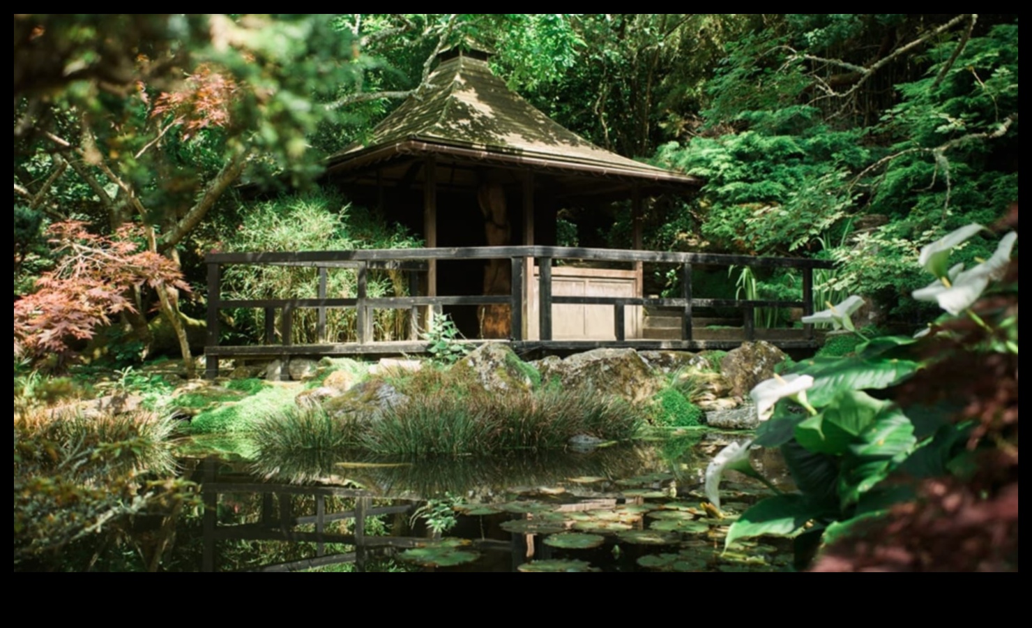 Bamboo Bliss: Creating Tranquil Spaces in Japanese Gardens
