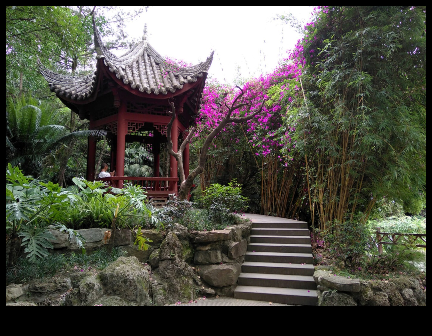 Bamboo Breezes: Secrets of Japanese Gardening