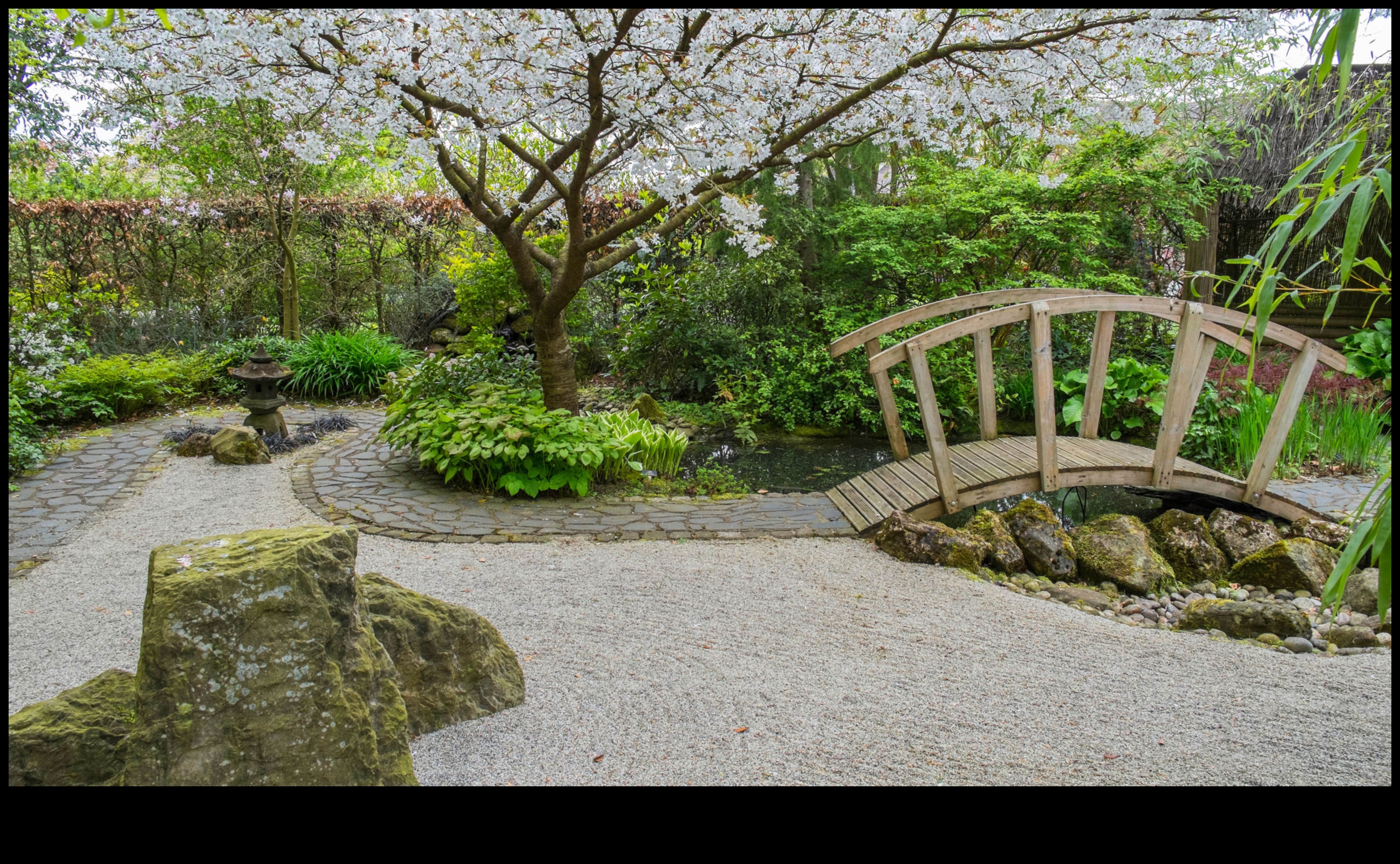 Bamboo Breezes: Japanese Gardening Secrets