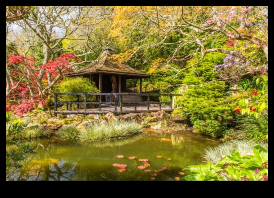 Bamboo and Bonsai Nature's Gifts to the Japanese Garden 1