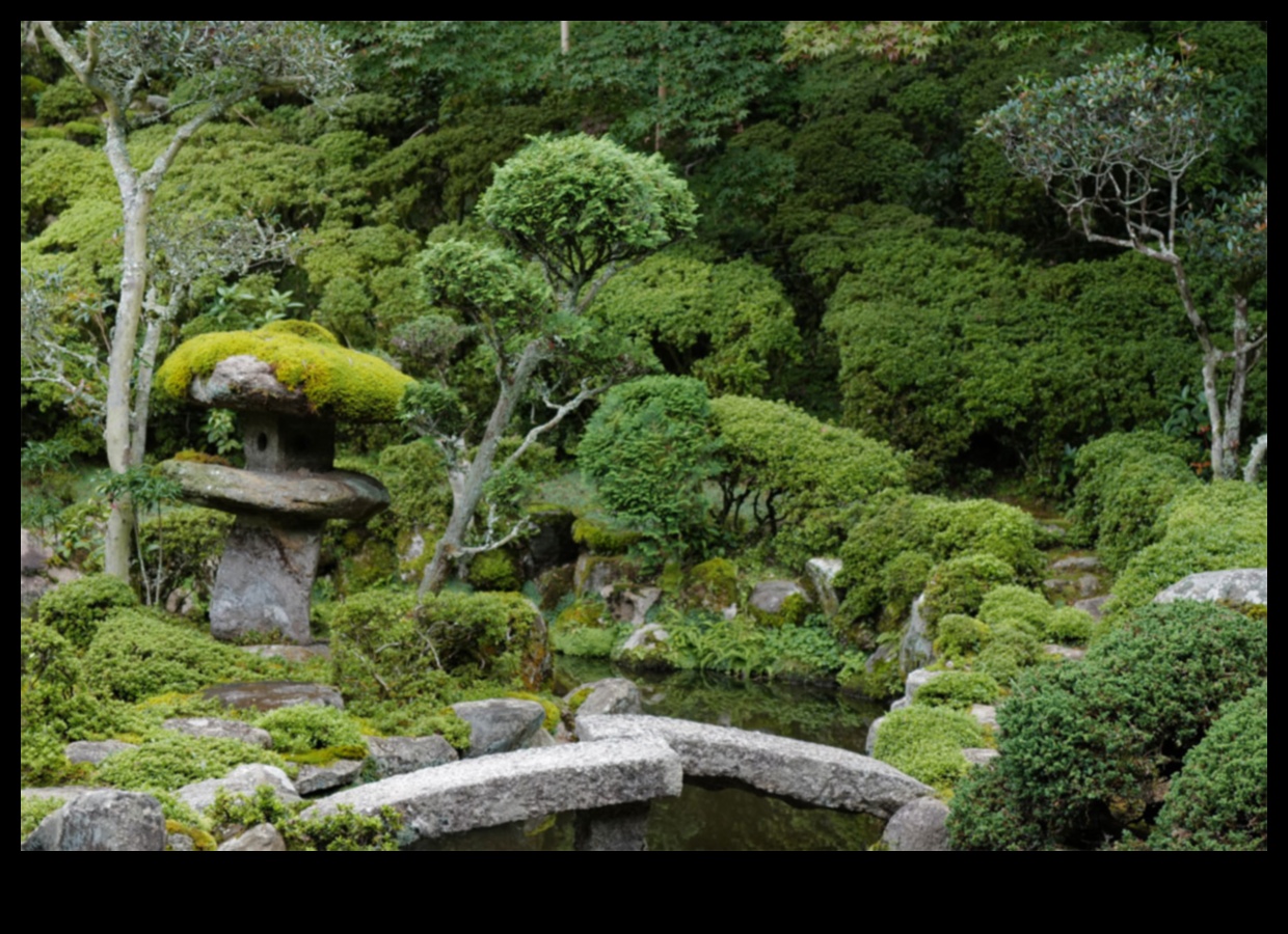 Bamboo and Bonsai: Japanese Garden Treasures