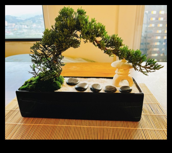 Bamboo and Bonsai: Japanese Garden Treasures