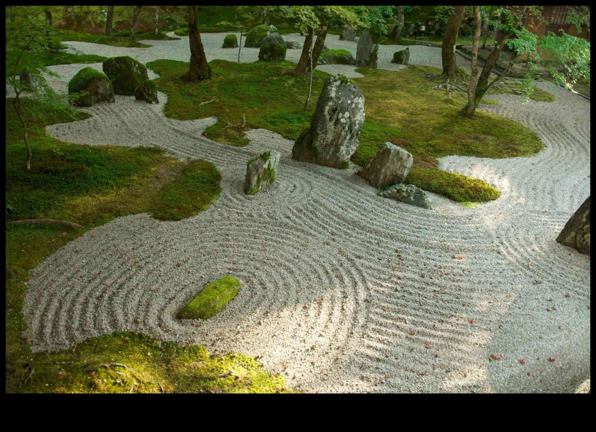 Bamboo and Stones: Japanese Gardening Secrets