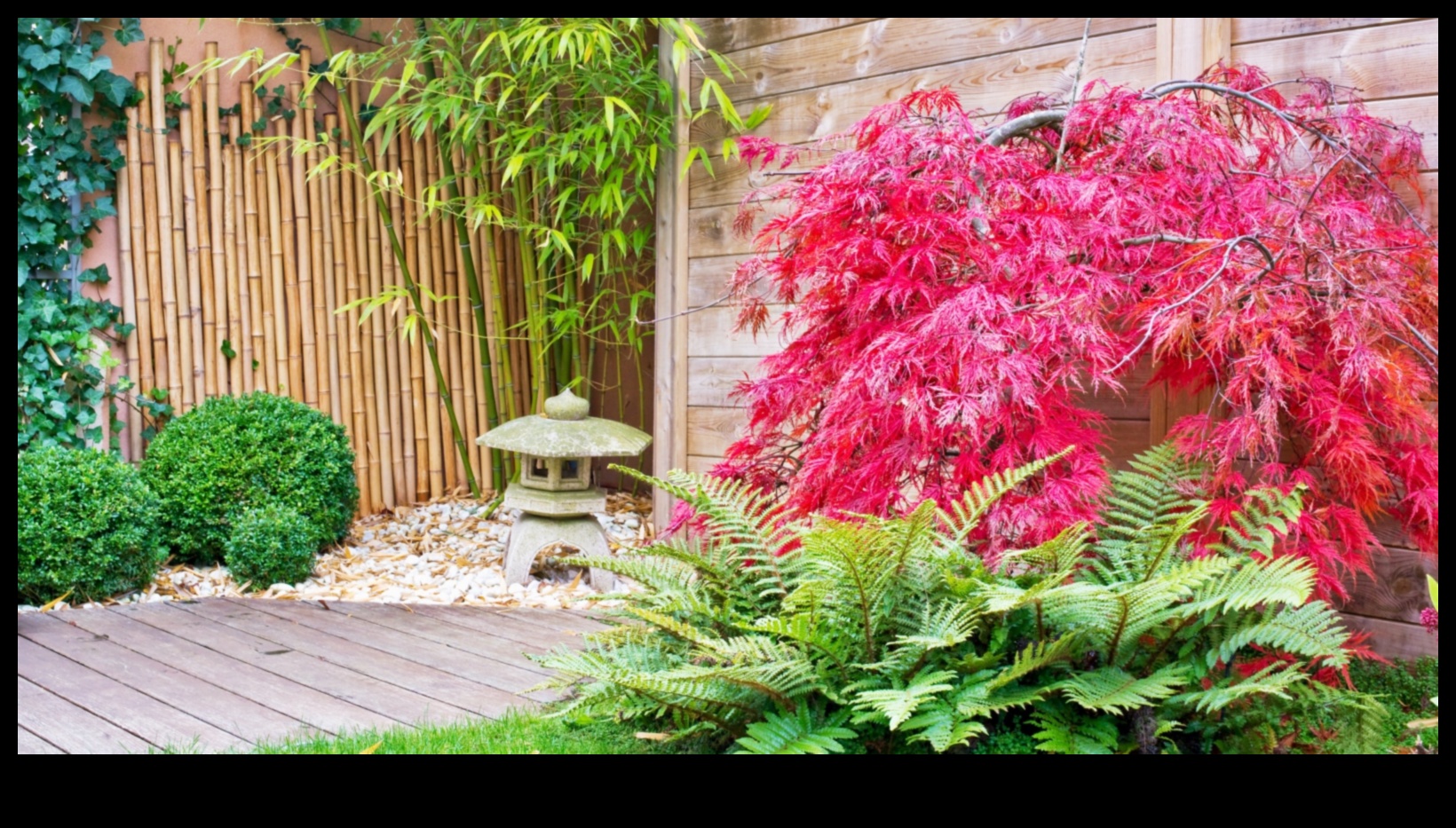 Bamboo and Stones: Japanese Gardening Secrets