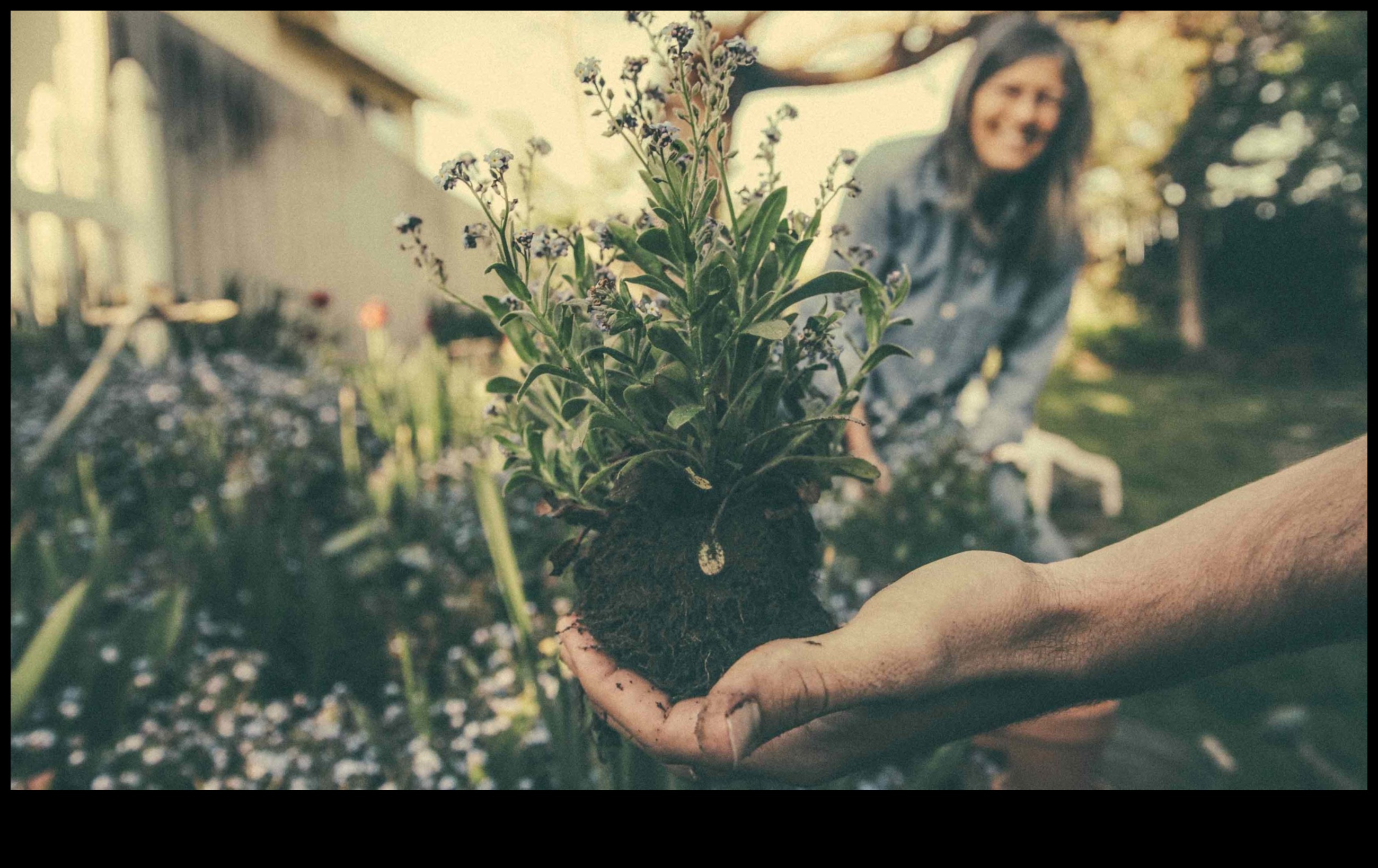 Battles in Bloom: Defending Your Garden from Pests