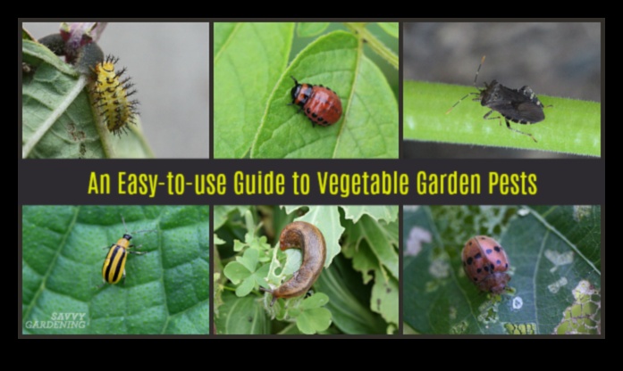 Battling Garden Bugs: A Gardener's Guide to Pest Mastery